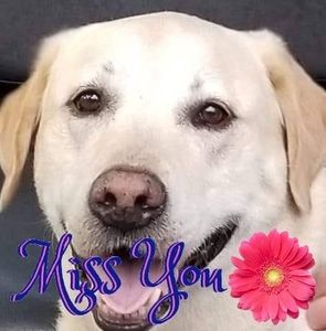 Meet your Posher, Belynda